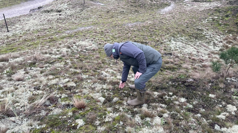 Een persoon in warme kleding bukt zich naar de grond op een grasachtig terrein bedekt met mos en struiken.