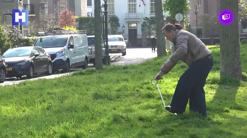 Een persoon snijdt gras met een zeis op een grasveld langs een straat met geparkeerde auto's en groene bomen.