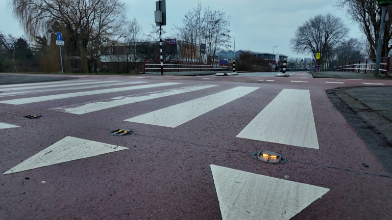 Nabij een zebrapad met opvallende witte strepen en oranje reflectoren, omgeven door bomen en een grijze lucht.