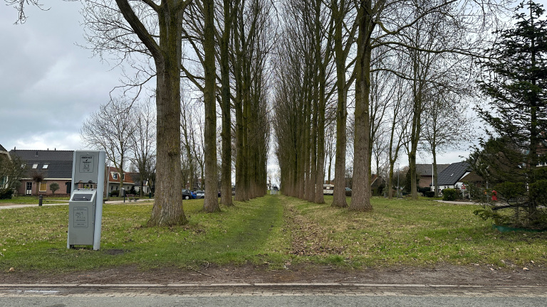 Rij hoge bomen langs een grasveld in een woonwijk, met huizen en een hondenpoepdispenser aan de zijkanten.