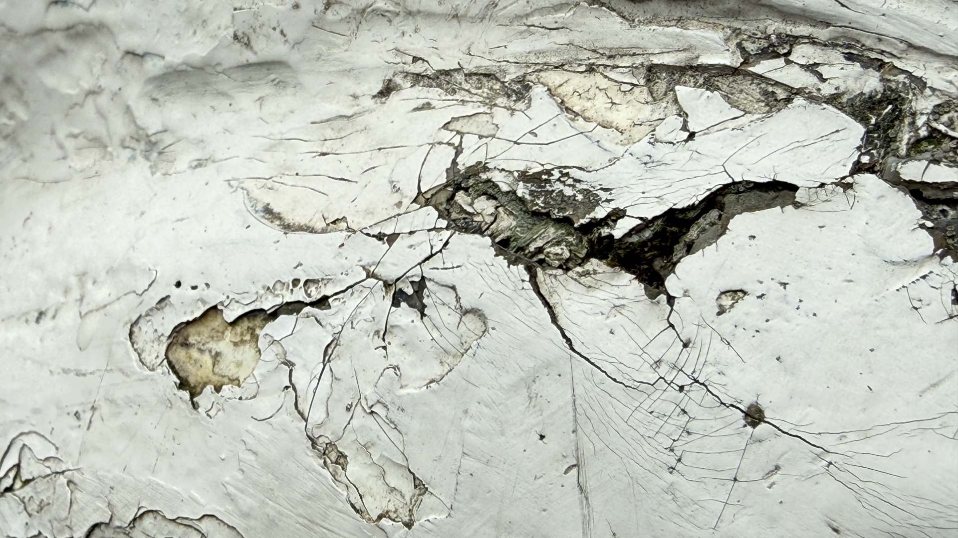 Gescheurd en afbladderend wit oppervlak met zichtbare scheuren en groeven.