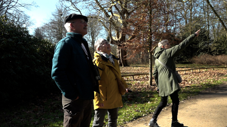 Drie mensen in een park kijken omhoog, één wijst naar iets in de lucht; het is zonnig met kale bomen.