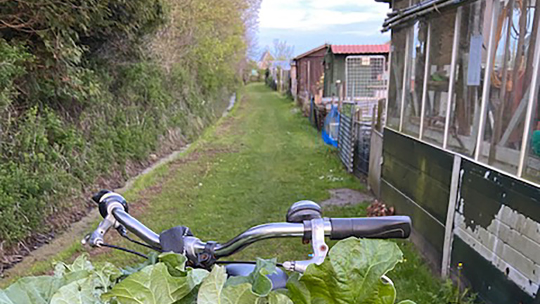 Stuur van een fiets met groene bladeren erop, gefotografeerd op een smalle, groene weg naast een kas.