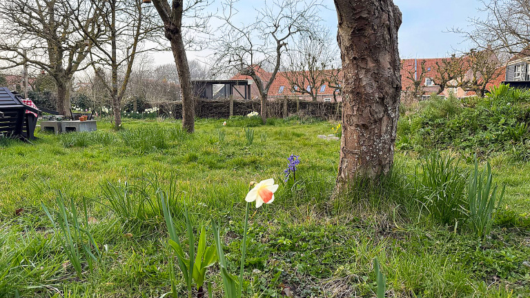 Tuin met kale bomen, groene grasvelden en bloemen zoals narcissen; een picknicktafel staat links op het gras.