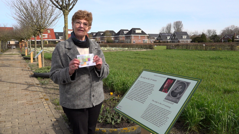 Een vrouw houdt een kleurdiagram vast naast een informatiebord over tulpen in een groene omgeving met huizen op de achtergrond.