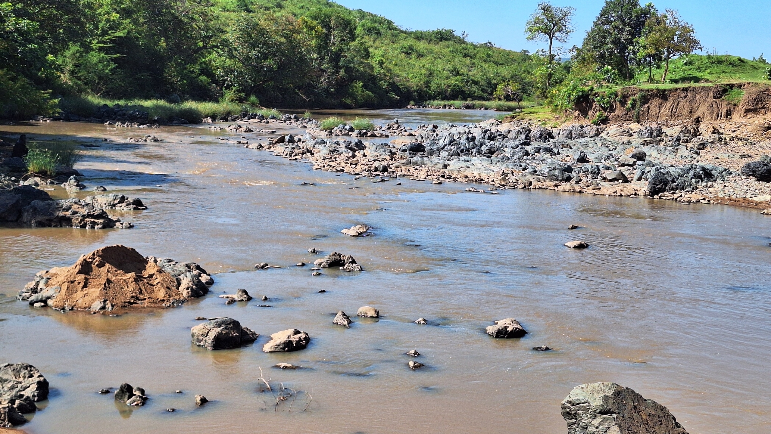 Een ondiepe rivier met verspreide stenen, omgeven door groen bos en blauwe lucht.