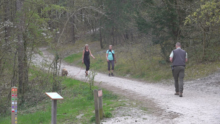 Mensen wandelen met een hond op een bospaadje, met langs de kant borden en groene vegetatie.