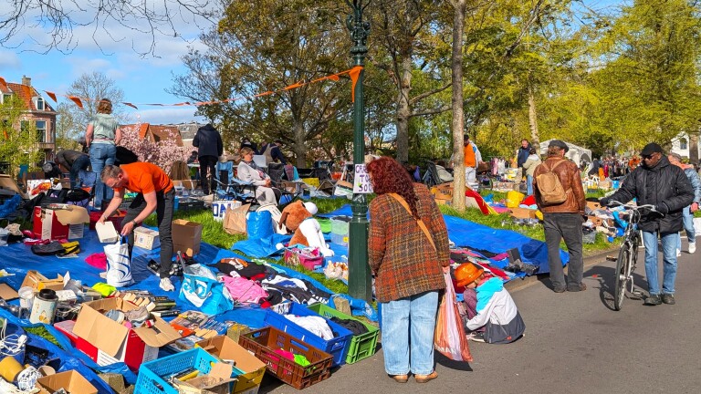 Mensen struinen over een vrijmarkt in een park, met kleedjes vol tweedehands spullen en kleurrijke versieringen.