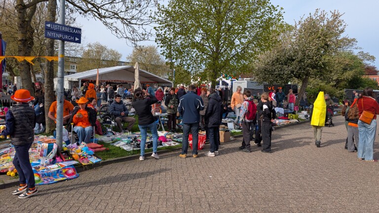 Mensen vieren Koningsdag op een vrijmarkt, sommigen dragen oranje kleding, met kraampjes vol tweedehands spullen omringd door bomen.