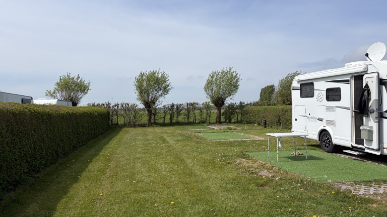 Een camper geparkeerd op een grasveld met een haag en enkele bomen op de achtergrond, onder een heldere lucht.