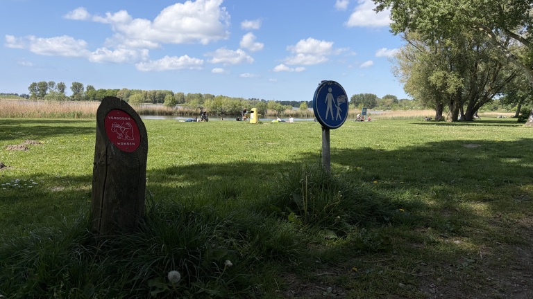 Bordjes op grasveld: een verbodsbord voor honden en een gebodsbord voor voetgangers, met mensen in de achtergrond bij een meer.