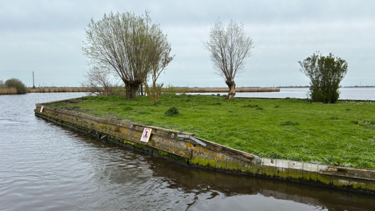 Een klein eilandje met gras en enkele bomen, omgeven door water, met een bordje zichtbaar aan de rand.