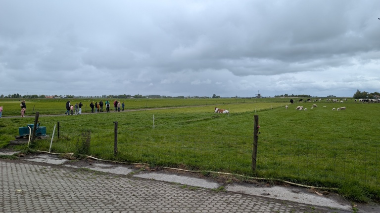 Groene weide met grazende schapen en koeien, een groep mensen loopt langs een pad; een molen zichtbaar aan de horizon onder een bewolkte hemel.