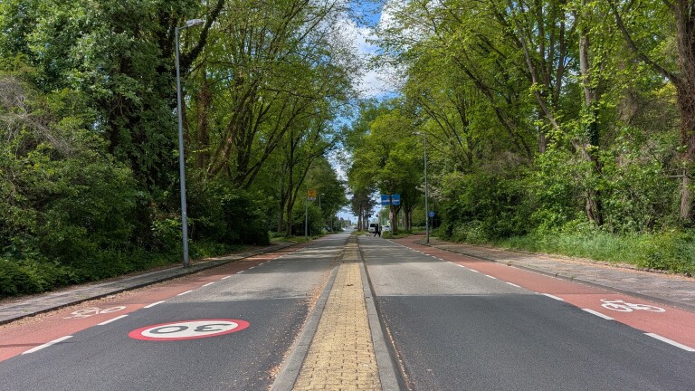 Lange weg omgeven door bomen, met fietspaden aan beide zijden en een snelheidslimiet van 30 aangegeven op de weg.