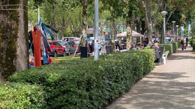 Marktkraampjes en mensen op een zonnige dag langs een met bomen omzoomde laan met auto's op de achtergrond.