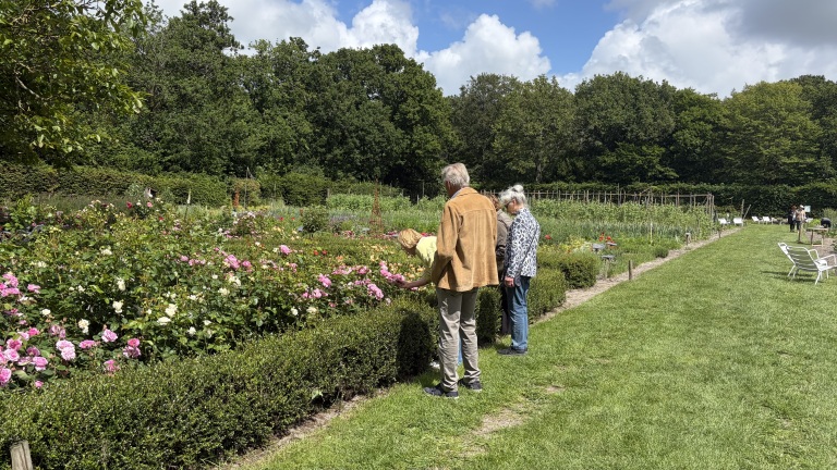 Mensen bewonderen bloeiende rozen in een groene tuin op een zonnige dag, omringd door bomen.