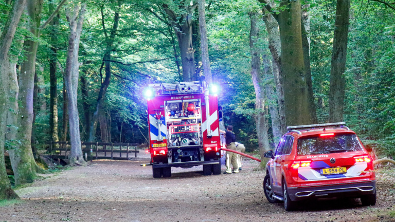 Brandweerwagen en voertuig in een bos, met brandweerlieden bezig met een brandslang.