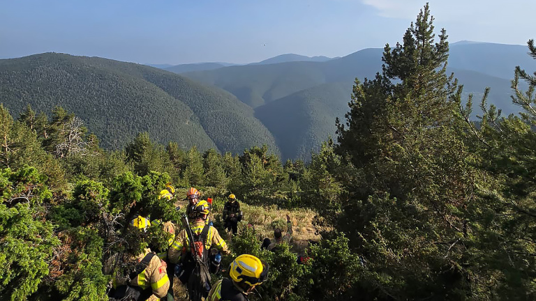 Brandweerlieden in gele helmen trekken door bosrijk berggebied met uitzicht op groene bergen in de verte