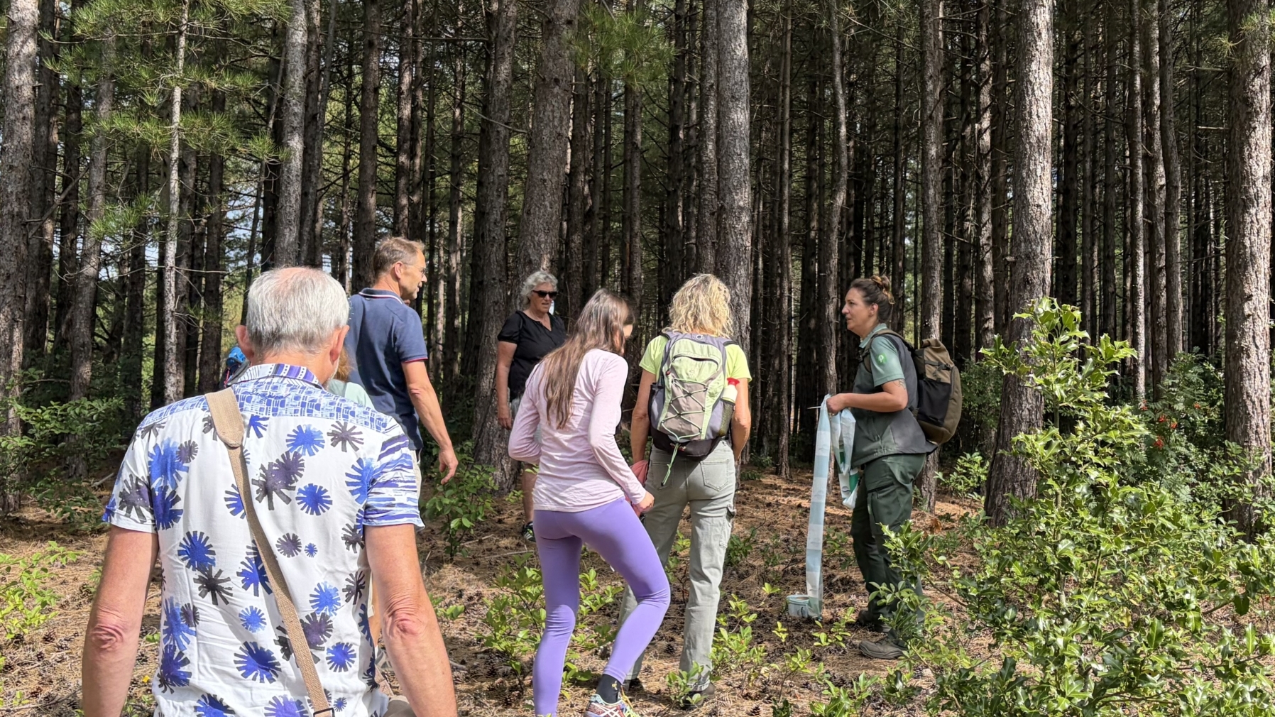 Groep wandelaars in een dennenbos luistert naar een gids met rugzakken en een opgerolde kaart
