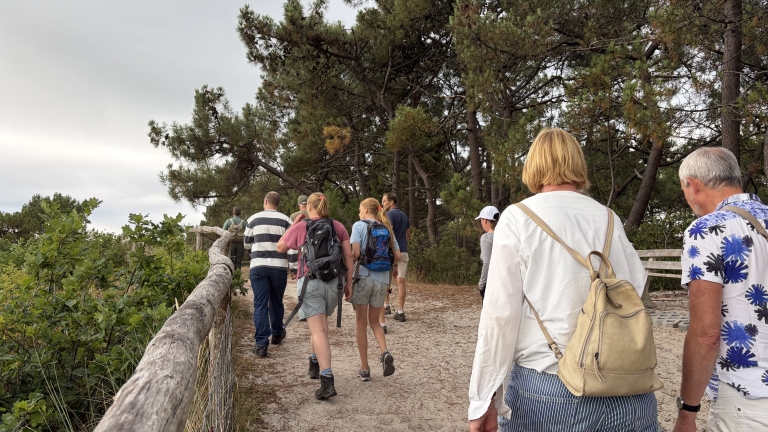 Groep wandelaars met rugzakken loopt over een zandpad langs een houten hek, tussen dennenbomen
