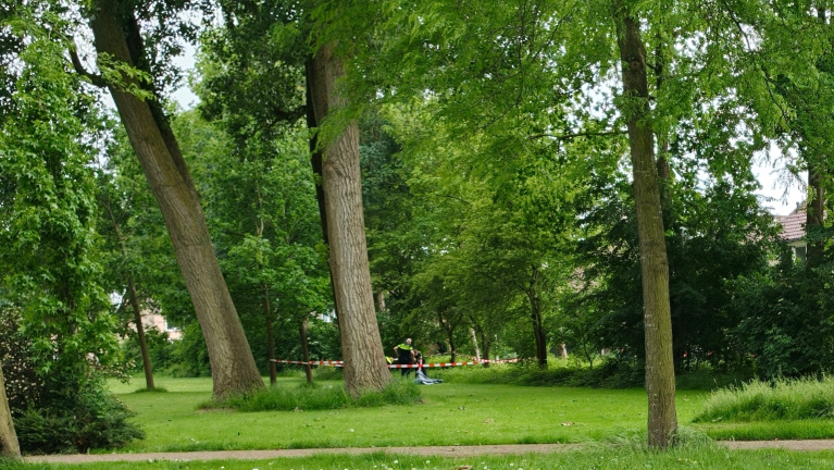 Politieafzetting in een groen park met drie grote bomen en weelderige vegetatie op de achtergrond.