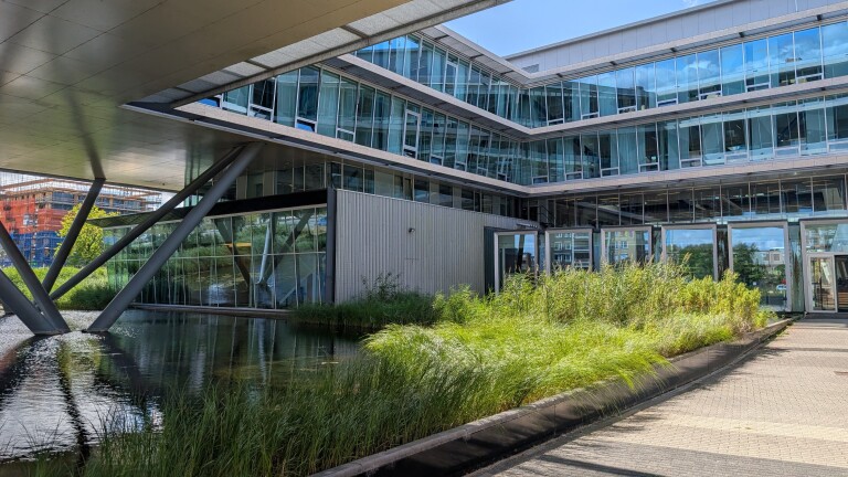 Modern kantoorgebouw met glazen gevels boven een vijver, stalen steunpilaren en riet langs een wandelpad