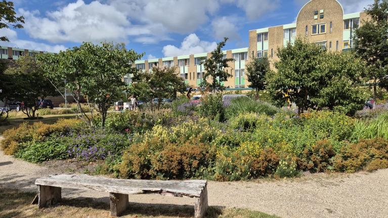Bloeiende tuin met struiken en bomen, houten bankje op de voorgrond en appartementencomplex op de achtergrond
