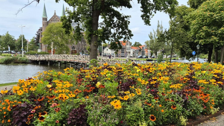Bloembed met gele en oranje bloemen langs een gracht, met houten brug en kerk met torenspitsen op de achtergrond