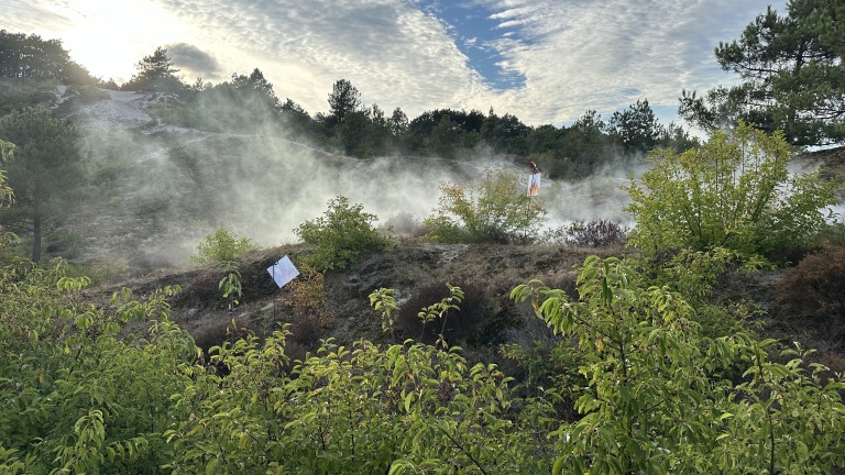 Mist hangt boven duinheide met struiken en bomen, met twee kleine vlaggen op stokken in het landschap