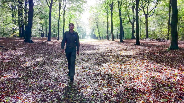 Man loopt over een met bladeren bedekte boslaan, omringd door hoge bomen in het zachte ochtendlicht