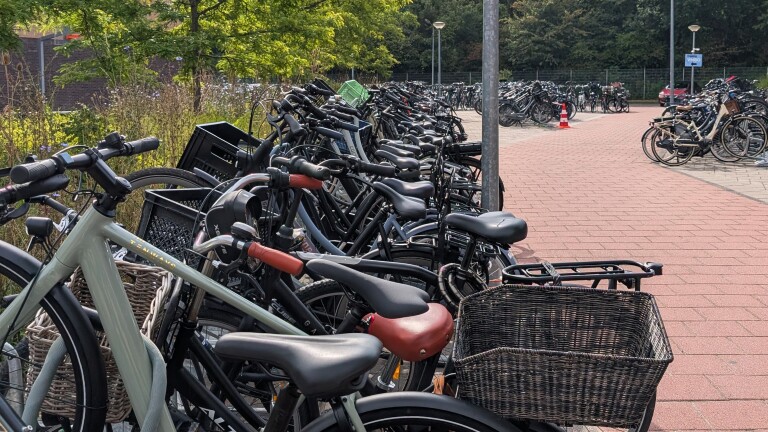 Rij geparkeerde fietsen met manden langs een stoep, met bomen en een groot fietsenrek op de achtergrond