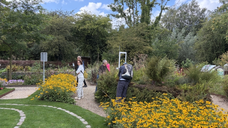 Bezoekers wandelen door een botanische tuin met gele bloemen en varens, omgeven door bomen en informatieborden