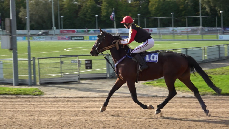Jockey met rode helm rijdt op een donkerbruin paard met nummer 10 tijdens een race op een zandbaan