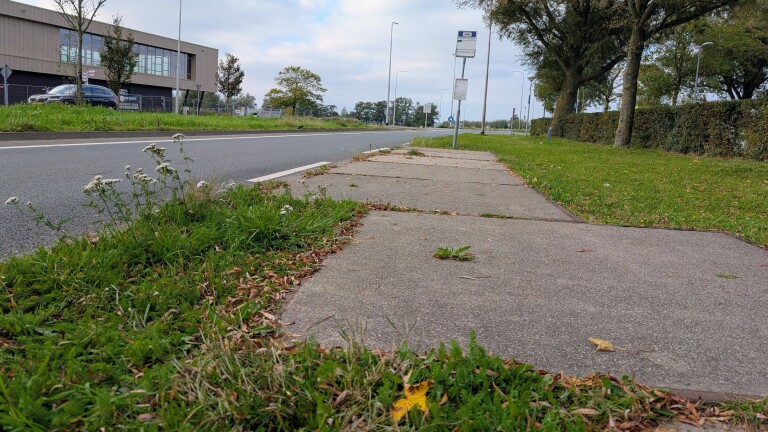 Trottoir langs een rustige weg met gras en onkruid, busborden en een modern gebouw op de achtergrond