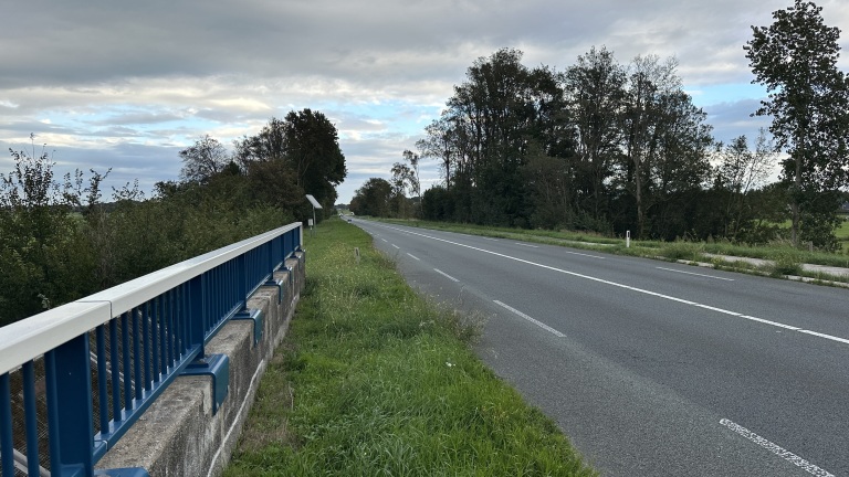Lege landweg langs bomen en grasberm, met een blauwe brugleuning op de voorgrond onder bewolkte lucht