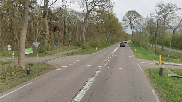 Landweg door bosrijk gebied met zijweg en fietspad, enkele auto’s in de verte en verkeersborden langs de berm