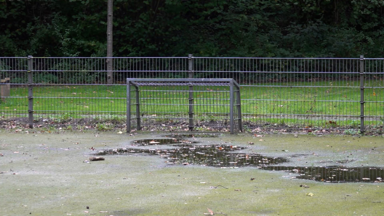 Leeg voetbaldoel op een groen veld met grote plassen en modder, met een hek en bomen op de achtergrond