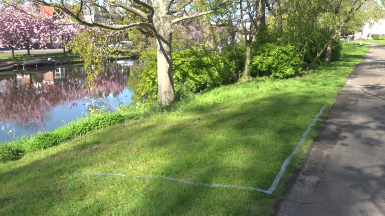 Grasveld met bomen en bloeiende struiken naast een rustige rivier; een pad loopt erlangs.