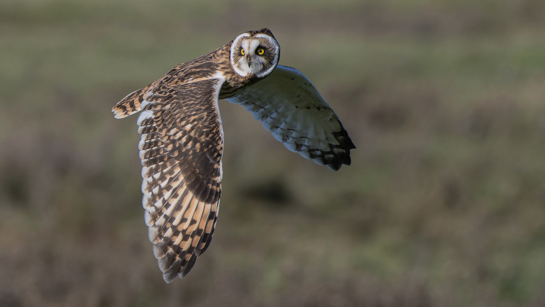 KNNV-lezing over de Waddeneilanden in Wijkcentrum Overdie ??