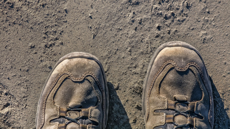 Sport Vitaal organiseert gezellige Snertwandeling rond Wijkboerderij Alkmaar ??