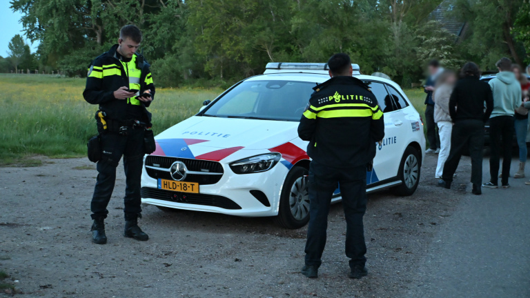 Zwarte auto deels ondergedompeld in een sloot, omringd door groene planten en witte bloemen, naast een boom.