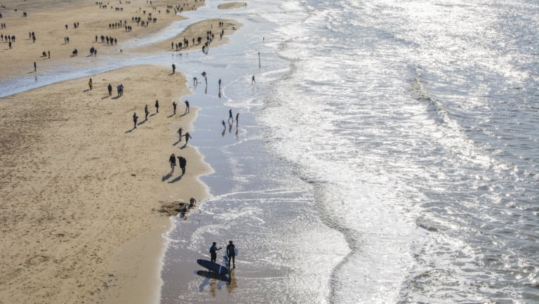 “Extra ogen en oren op strand, straat en kernen”: Castricum wil extra boa’s