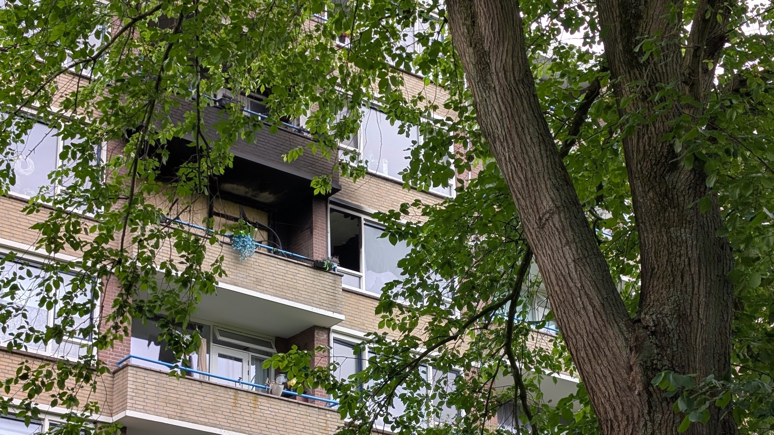 Wit bedrijfstrailer van Roessen & Roessen asbestsanering geparkeerd bij een appartementsgebouw, omgeven door waarschuwingslint.