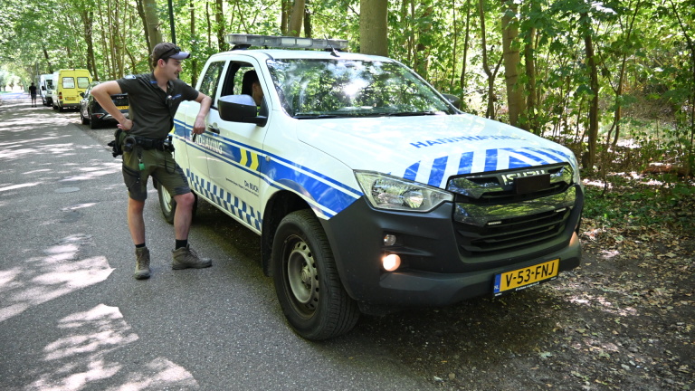 Twee personen staan op een bospad bij een boom, met een geparkeerde auto op de achtergrond