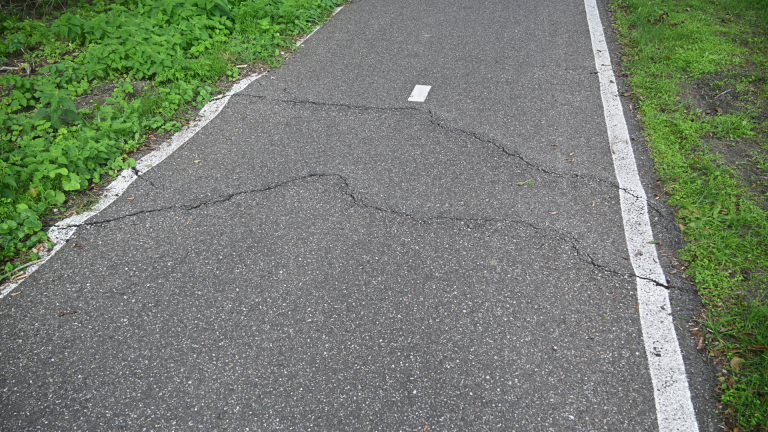 Twee politieagenten staan bij een Nederlandse politieauto en kijken op een telefoon, met een racefiets tegen een boom