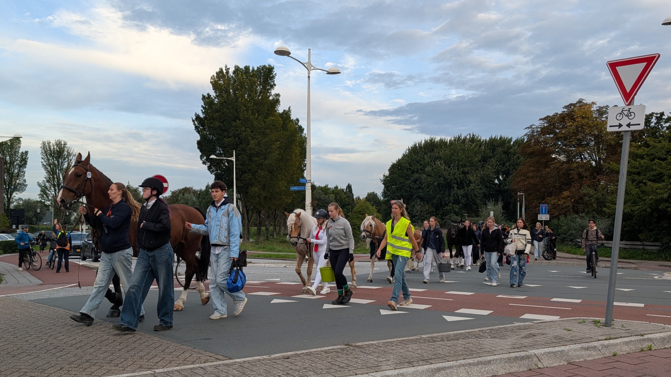 Fietsers op een tandem passeren een groep wandelaars die paarden over een kruispunt leidt, met huizen op de achtergrond