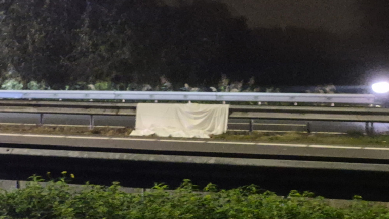 Politie- en hulpverleningsvoertuigen met zwaailichten bij een incident op een snelweg in het donker