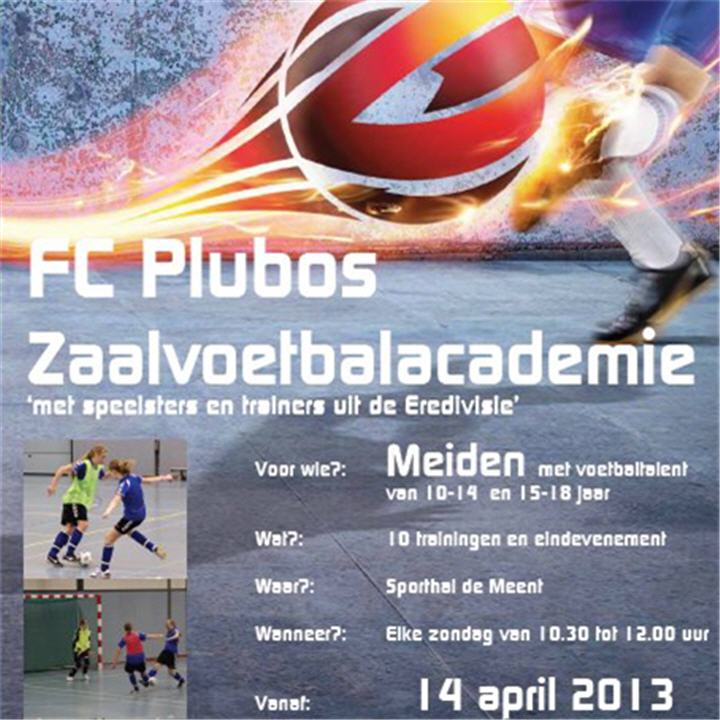 plubos flyer