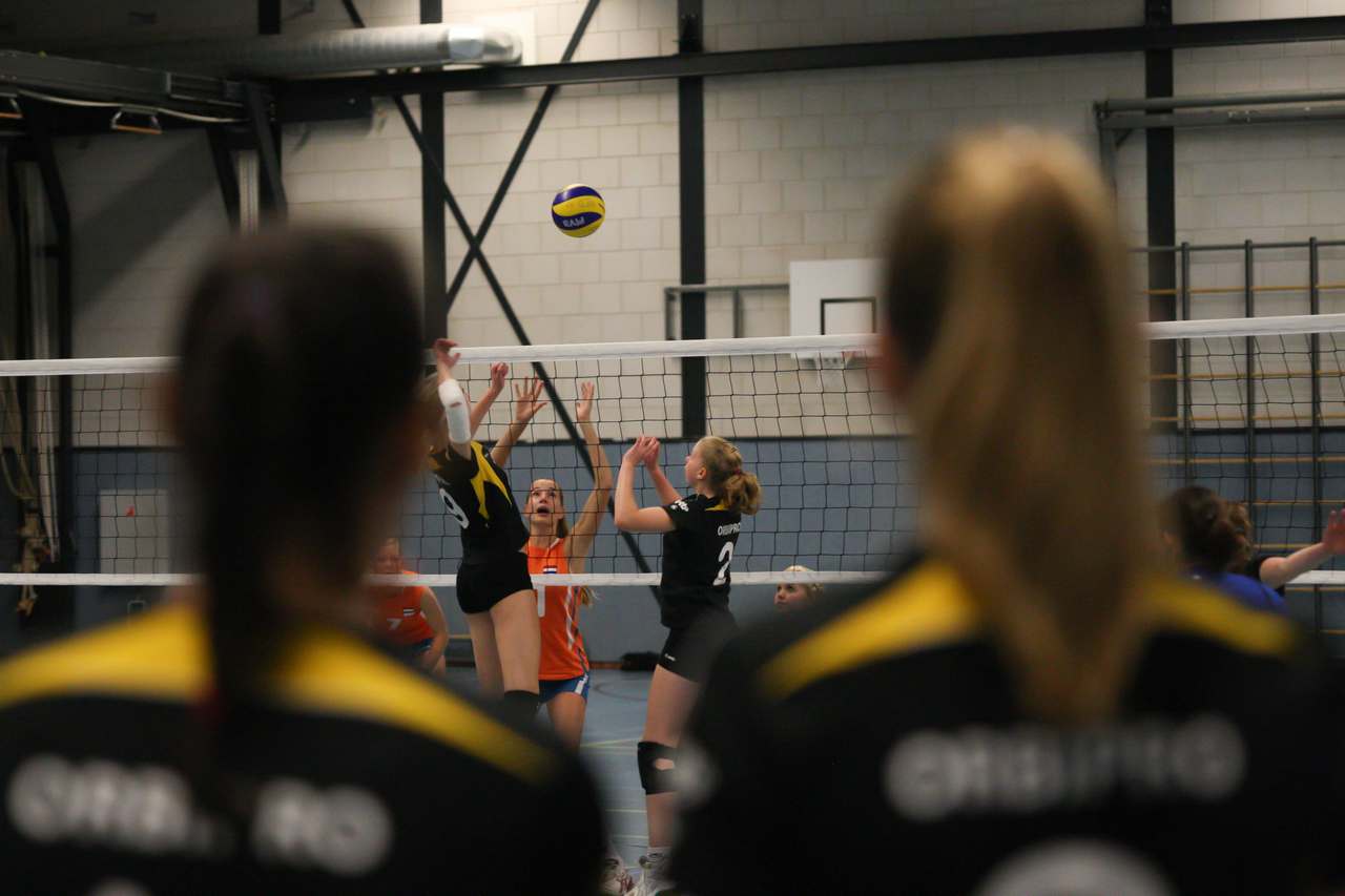 Volleybaldames Jeugd Oranje oefenen in Alkmaar tegen België (FOTO's)