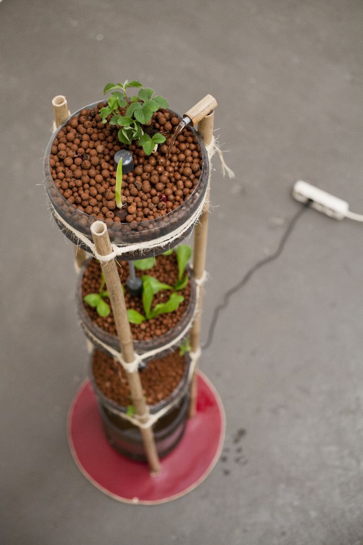 Vissen en planten kweken in het bio-lokaal (FOTO)